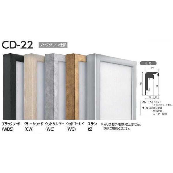 CD-22 IW 40(FEPEMTCY)p LoXp g At[  A~ W p oWpz@1,000mm