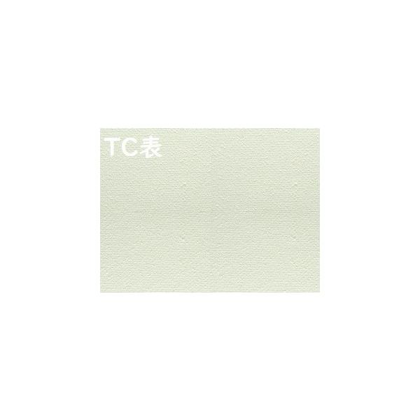 TC 張りキャンバス F0号 60枚 (180×140mm) 桐木枠 綿化繊 綿化繊混【代引不可・同梱不可】 VIC