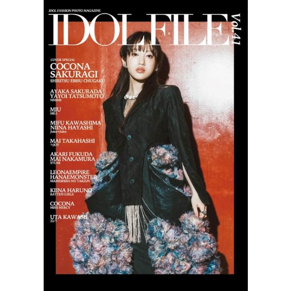 IDOL FILE Vol.41(音楽書)(76335)