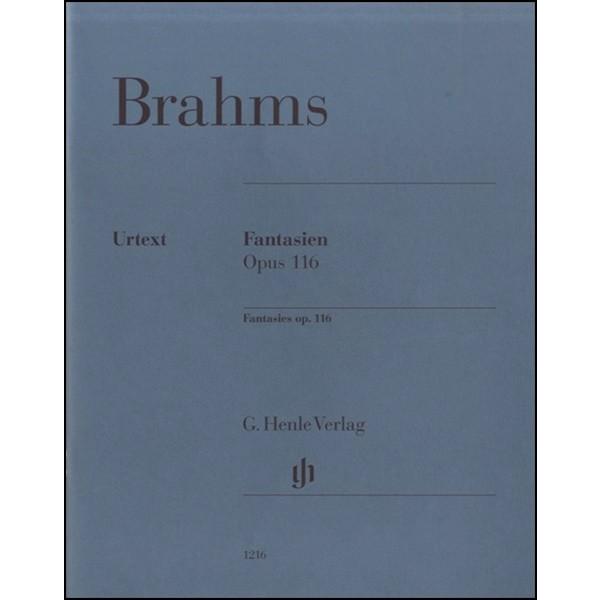 ヘンレ社（ヤマハ） 【GYP00116631】