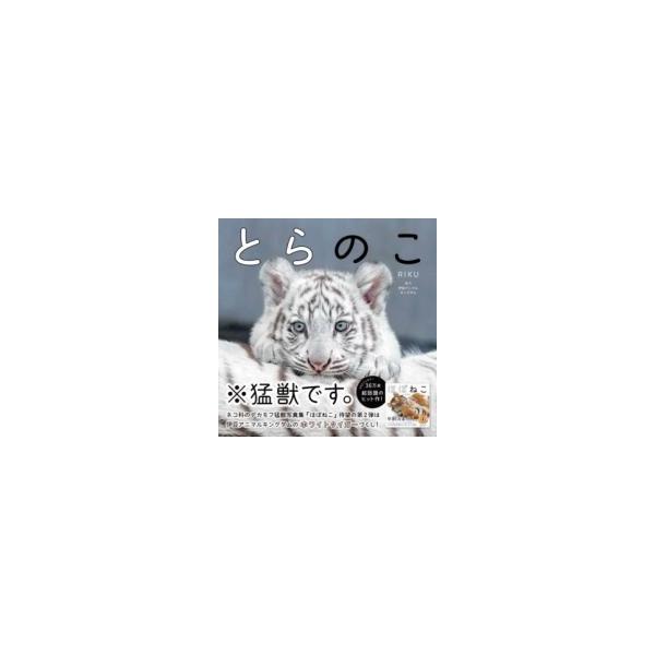 RIKU とらのこ Book