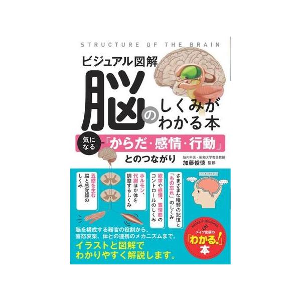 【取寄品】【取寄時、納期10日〜2週間】ビジュアル図解脳のしくみがわかる本気になる「からだ・感情・行動」とのつながり