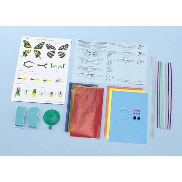 こん虫のもけい作り 理科授業小学校自由研究粘土工作 Buyee 日本代购平台 产品购物网站大全 Buyee一站式代购bot Online