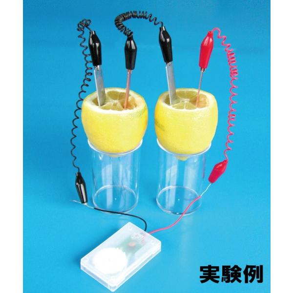 くだもの電池セット　