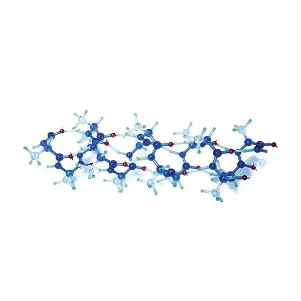 分子構造模型 モルタロウ（タンパク質セットII αヘリックス） : 学林舎