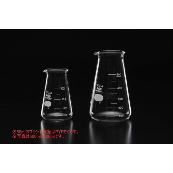 コニカルビーカー IWAKI 300ml