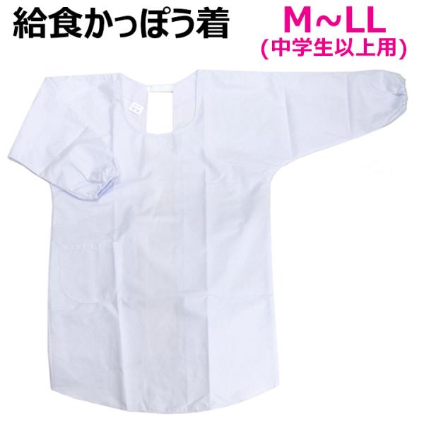 H Gv ۂ H M/L/LL wȏTCY