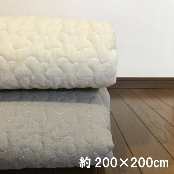 Cu@\tgK[[@LeBO}bg@200×200@zc@~pbhiCh_ujĂ͂ƁA~͒gAI[V[Y Q Instagram