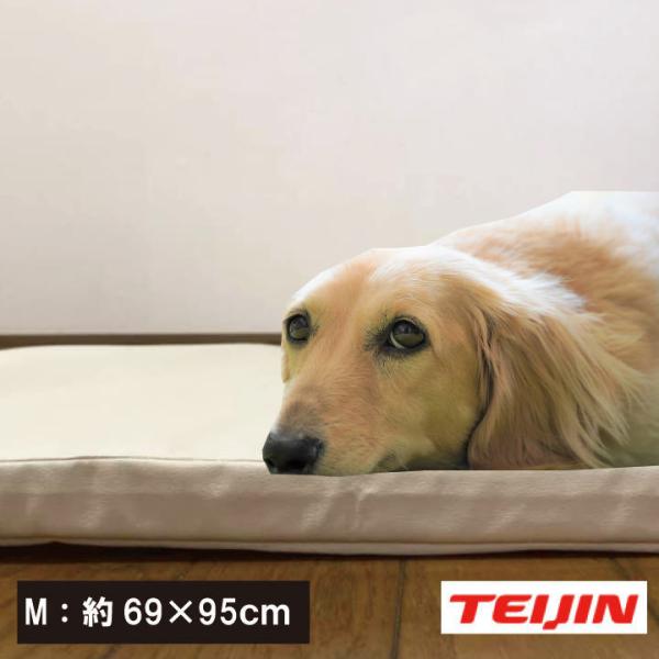 eCW@V-lapgp@ybgPA}bg S 48×69