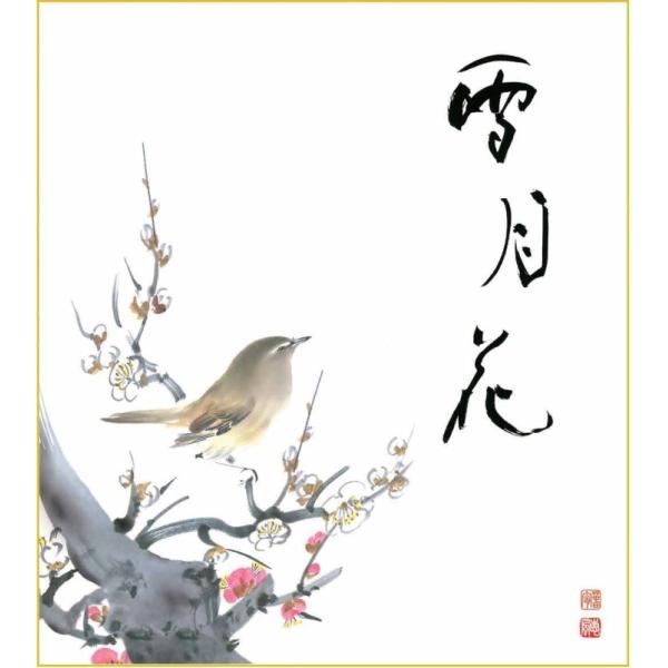 【真作】掛軸　白梅に月図　幽玄の美　墨彩日本画　春の情緒漂う花鳥画　S71 真作/雨江(賛)/寿老人三幅対/蝋梅/胡蝶/花鳥図/掛軸☆宝船☆AG
