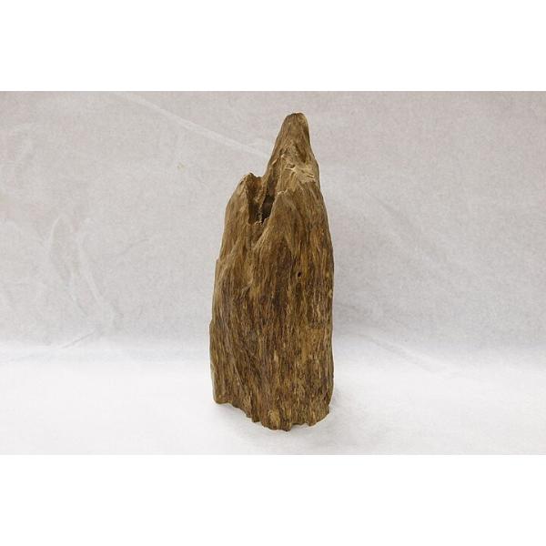 博物館クラス！特大！沈香原木の魅力と選び方