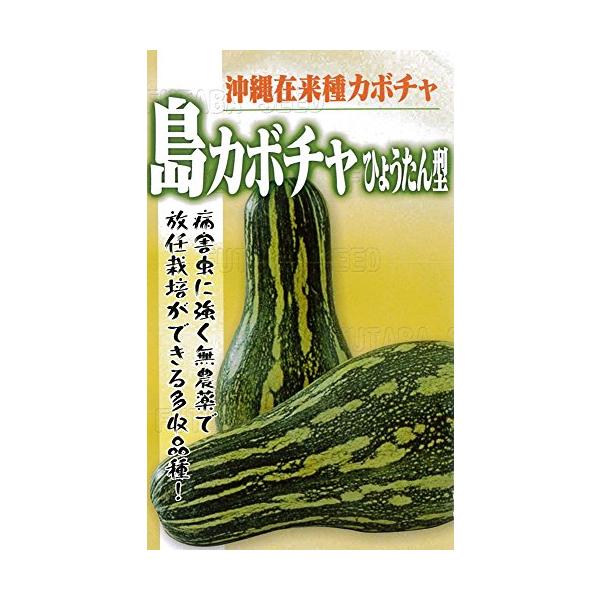 フタバ種苗 沖縄 島かぼちゃ(ひょうたん型) 種・小袋詰(5ml)