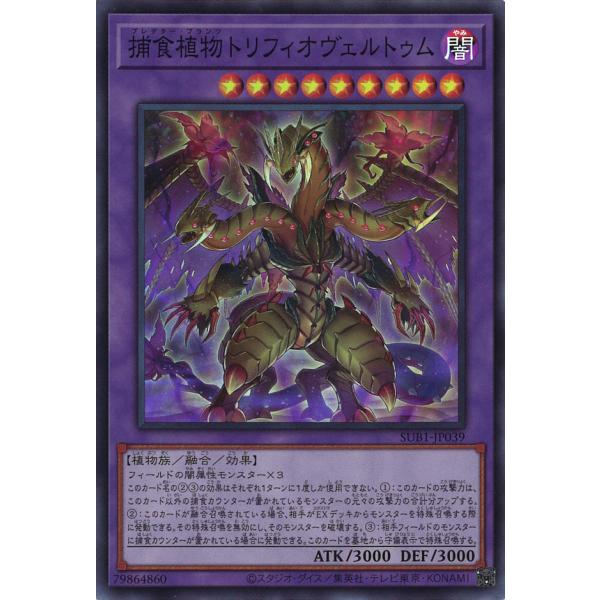 game38japan_181130713