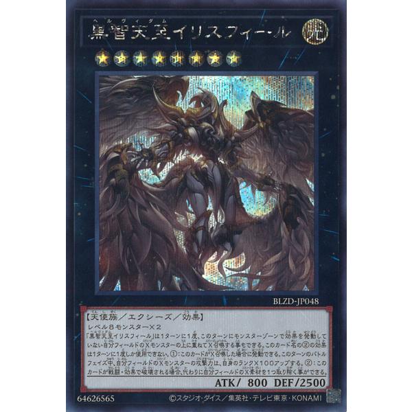 遊戯王オフィシャルカードゲーム デュエルモンスターズ 黒智天至イリス
