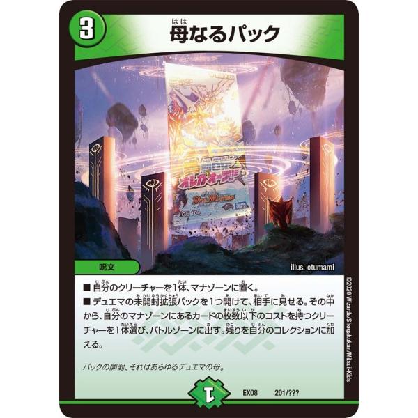 母なるパック 自然 EX08 201/???