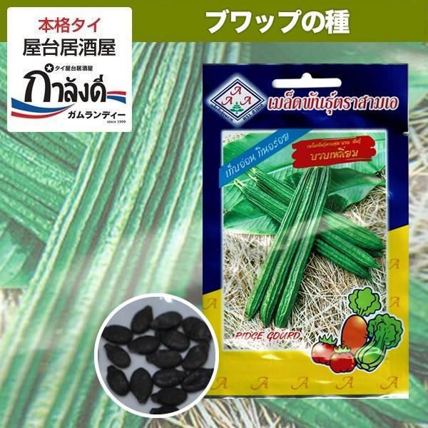送料無料 トカドヘチマ種 ブワップリアム 食用ヘチマ タイ野菜 タイハーブ T39 ガムランディーストアヤフー店 通販 Yahoo ショッピング