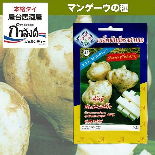 マンゲーウ クズイモ ヒカマ ヤムビーン種 タイ野菜 Buyee Buyee 日本の通販商品 オークションの代理入札 代理購入