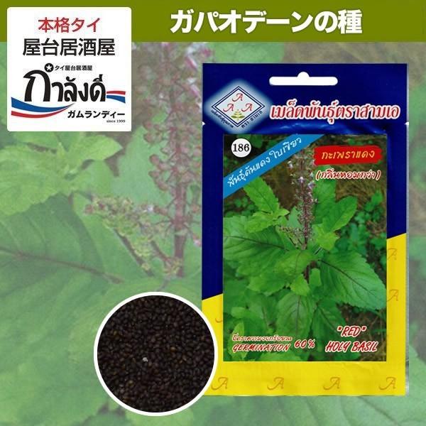 希少種 バイカパオ デーン 赤ガパオ 赤ホーリーバジル の種 Buyee 日本代购平台 产品购物网站大全 Buyee一站式代购 Bot Online