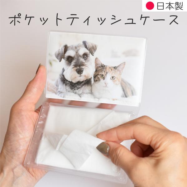 ポケットティッシュケース 日本製 ティッシュカバー ポケットティッシュカバー 半透明 ミニサイズ おしゃれ 二つ折り 携帯用 子供 _ ポケットティッシュケース _