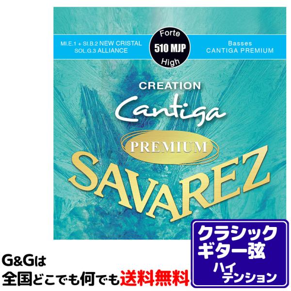 yPZbgzNVbNM^[ nCeV ToX SAVAREZ 510MJP NGCV JeB[Kv~A