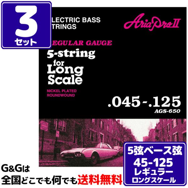 iRZbgjAriaProII Tx[XZbg AGS-650 AAv -5-string, Long Scale-