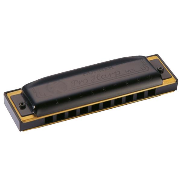 HOHNER ホーナー ダイアトニックハーモニカ 562/20 MS B プロハープ X