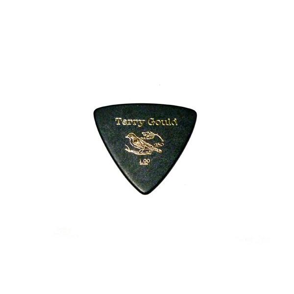 PICK BOY(ピックボーイ) Terry Gould/GUITAR 「GP-TG-RB/100(triangle 