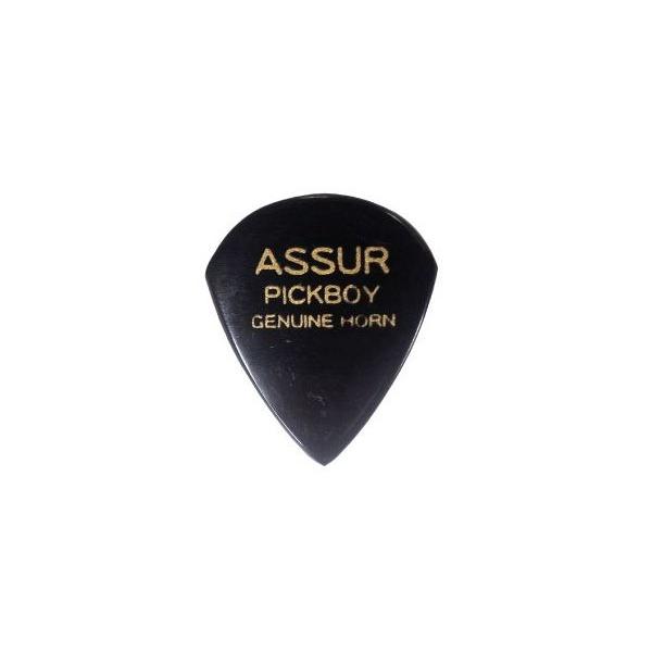 PICK BOY(sbN{[C) ASSURiCjsbN / GUITAR PICK uGP-AS/1×1vAVsbNEz[/GPAS1