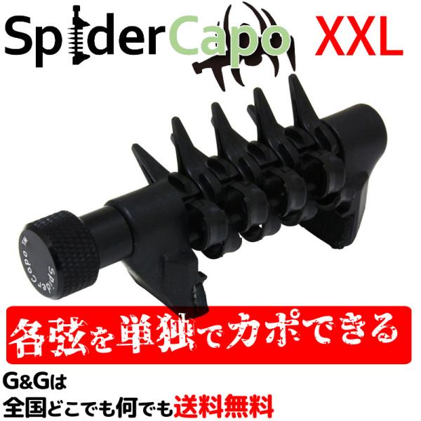 J|^Xg OCv 56x[X78M^[ 8܂őΉ XpC_[J| XXL Spider Capo SPD XXL Guitar Bass Capotast MAX 8-String d'Andrea