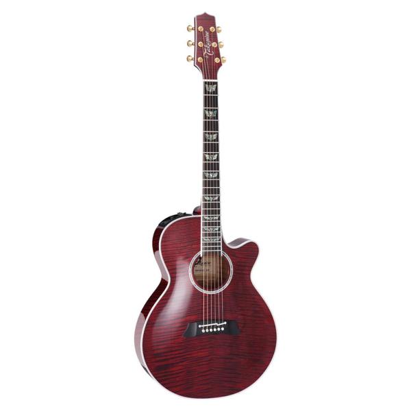 Takamine タカミネ エレクトリックアコースティックギター 100 Series