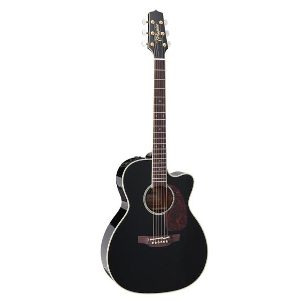 Takamine タカミネ エレクトリックアコースティックギター 700 Series