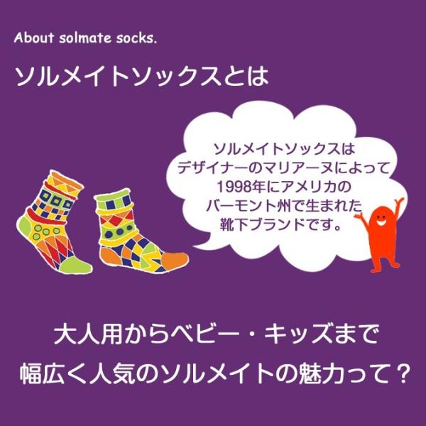 ソルメイト ハイソックス レディース 23cm 25cm 全5色 靴下 おしゃれ カラフル 丈夫 蒸れない ギフト Solmate Buyee Buyee Japanese Proxy Service Buy From Japan Bot Online