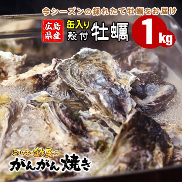 広島宇品「ミルキー鉄男のかき小屋」から、今シーズンも採れたて殻付き牡蠣の「がんがん焼き」セットをお届けします!!　・・・・・・・・・・・・・・・・【潮の香り立つ、広島牡蛎の「がんがん焼き」セット】牡蠣の美味しい冬季限定商品になります。かき小...