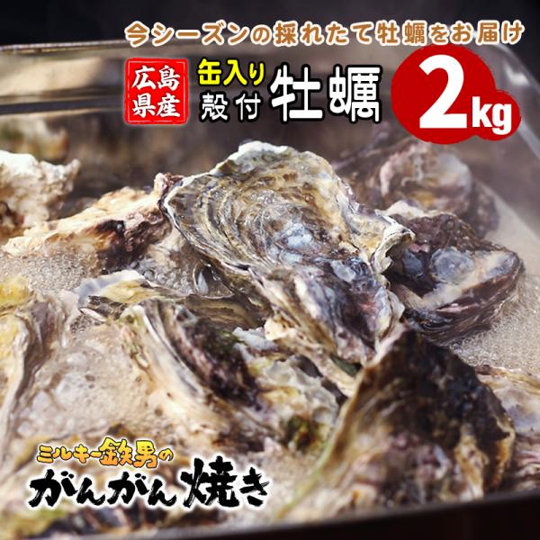 広島宇品「ミルキー鉄男のかき小屋」から、今シーズンも採れたて殻付き牡蠣の「がんがん焼き」セットをお届けします!!　・・・・・・・・・・・・・・・・【潮の香り立つ、広島牡蛎の「がんがん焼き」セット】牡蠣の美味しい冬季限定商品になります。かき小...