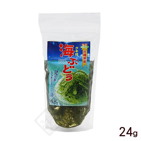海ぶどう 塩水漬け 茎付き 40g 平良商店 909 沖縄健康市場 通販 Yahoo ショッピング