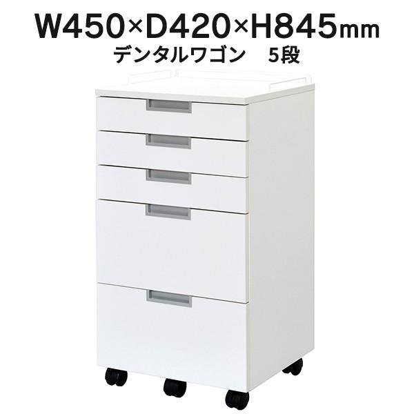  Ȉ f^S 5i zCg RFCA-DT5WH c[S f@ LX^[S(Əl͂ 菤i)