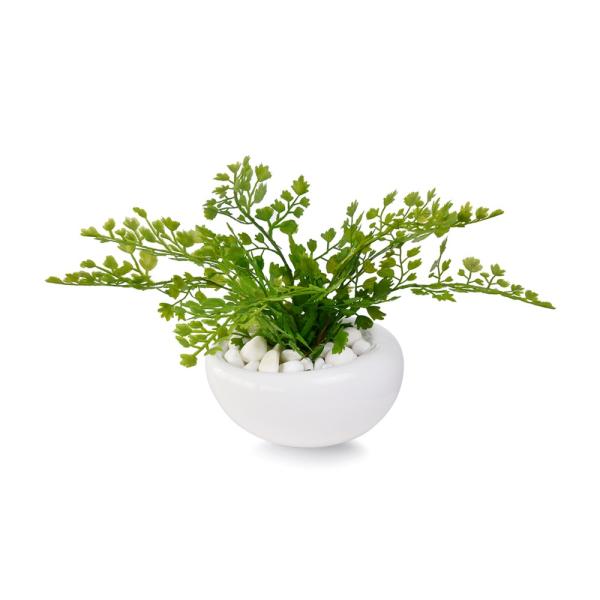 tFCNO[ ~j  AWA^  CeAO[ ItBXO[ ϗtA 