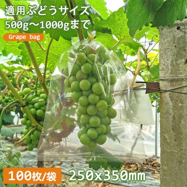 全透明微孔フィルム袋 100枚/袋 ブドウ日光カバー袋 果物野菜ラップ袋 ブドウラップ袋 鳥や蚊の侵入を防ぐ 25*35mm 防雨防虫 大量注文対応可