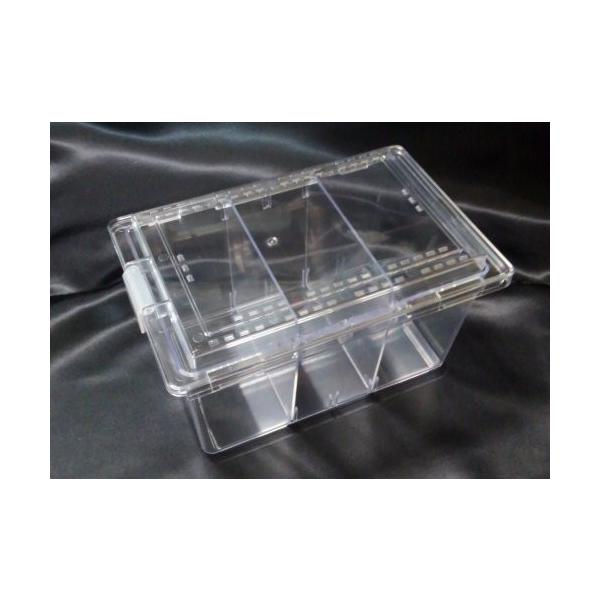 価格.com】昆虫用飼育ケース | 通販・価格比較・製品情報