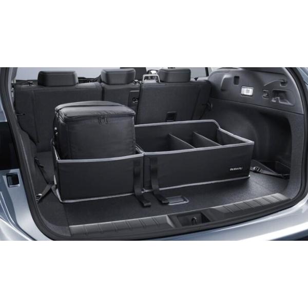 garageidea_levorglayback-