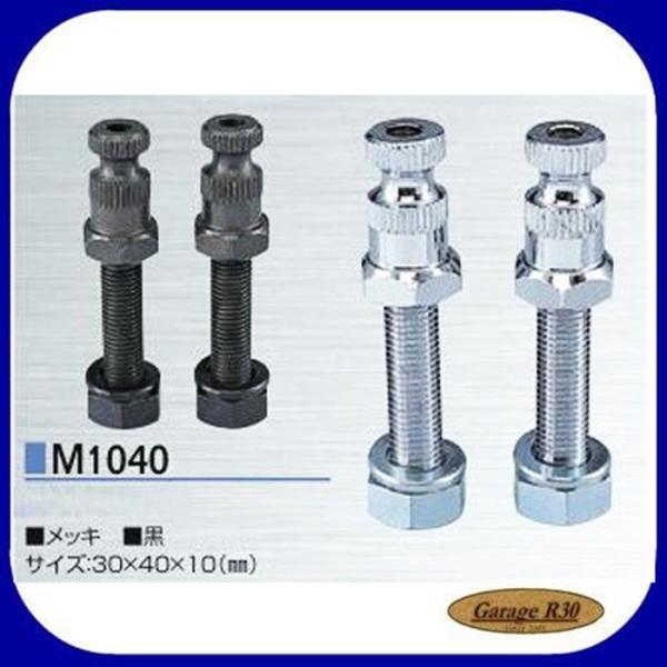 iJC M1040 IWi ECJ[Xe[ 2{ M10×40mm Ci CGCc