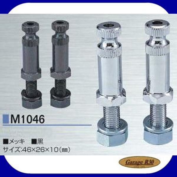 iJC M1046 IWi ECJ[Xe[ 2{ M10×46mm Ci CGCc