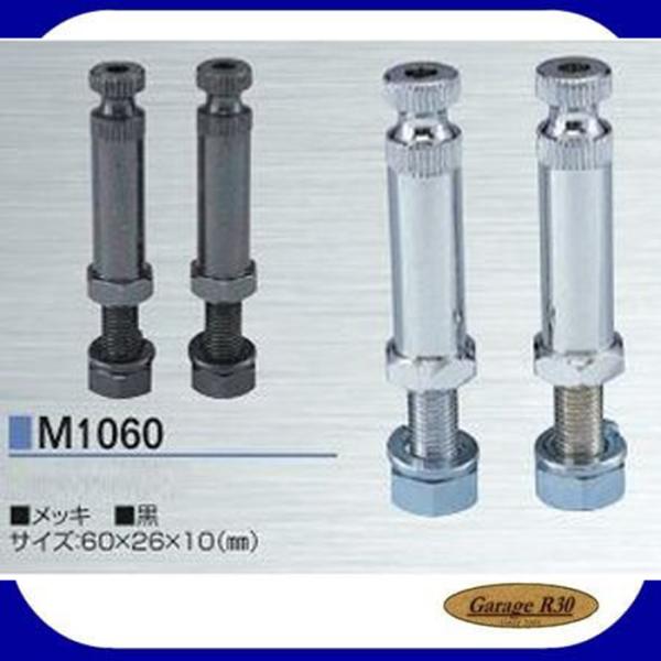 iJC M1060 IWi ECJ[Xe[ 2{ M10×60mm Ci CGCc