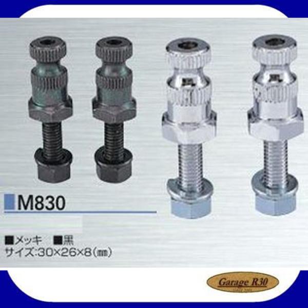 iJC M830 IWi ECJ[Xe[ 2{ M8×30mm Ci CGCc