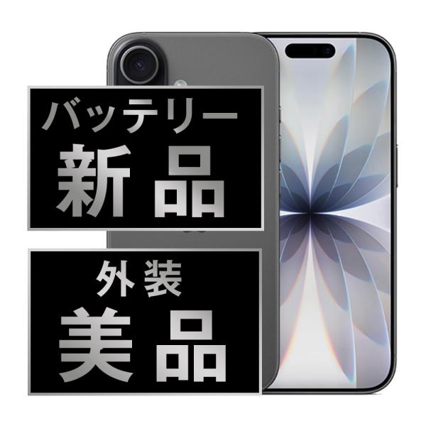 バッテリー新品交換済 iPhone17 256GB ブラック SIMフリー 中古 外装A