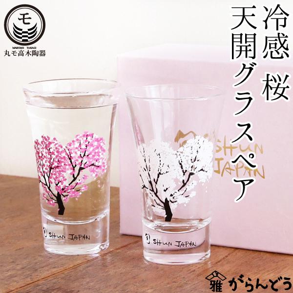 丸モ高木陶器 冷感桜 天開グラスペア 父の日 ぐい呑み 冷酒グラス 酒器