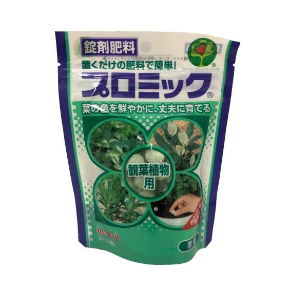 錠剤 肥料 - 肥料の人気商品・通販・価格比較 - 価格.com 錠剤 肥料 - 肥料の人気商品・通販・価格比較 - 価格.com