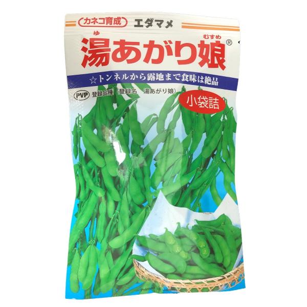 種 枝豆の人気商品 通販 価格比較 価格 Com