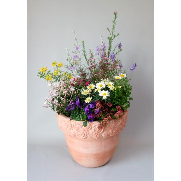 寄せ植え 春の寄せ植え 開店祝 新築祝 お誕生日プレゼント 豪華な寄せ植え テラコッタ鉢 届いたその日から ゴージャス ギフト Buyee Buyee Japanese Proxy Service Buy From Japan Bot Online