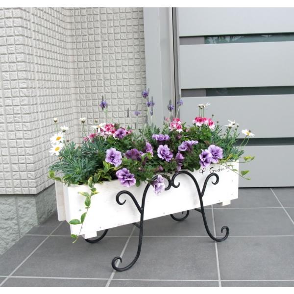 寄せ植え 初夏の寄せ植え 初夏の花 お誕生日プレゼント 花ギフト 開店祝い ゴージャスな寄せ植え スリム木製プランター 新築祝い に最適 Buyee Buyee Japanese Proxy Service Buy From Japan Bot Online